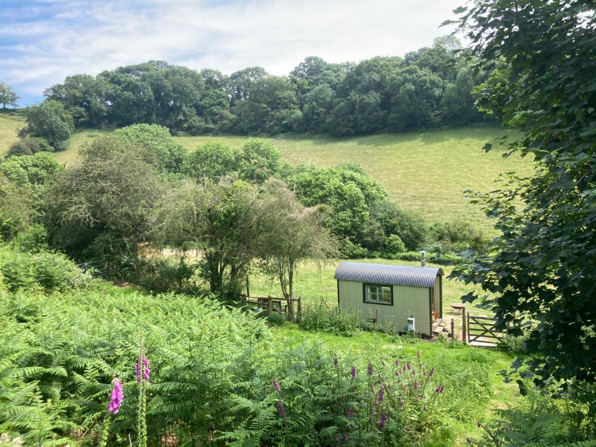 Luxury tent Usk Valley Shepherd's Hut